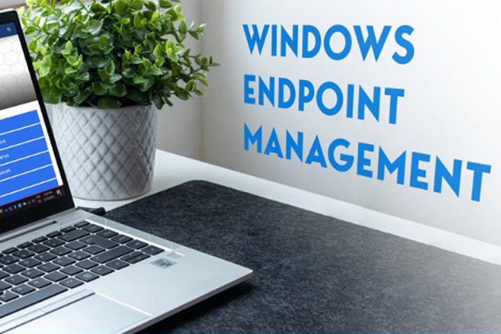 The first slide of the Windows Endpoint Management toolkit - a computer showing the Endpoint project website